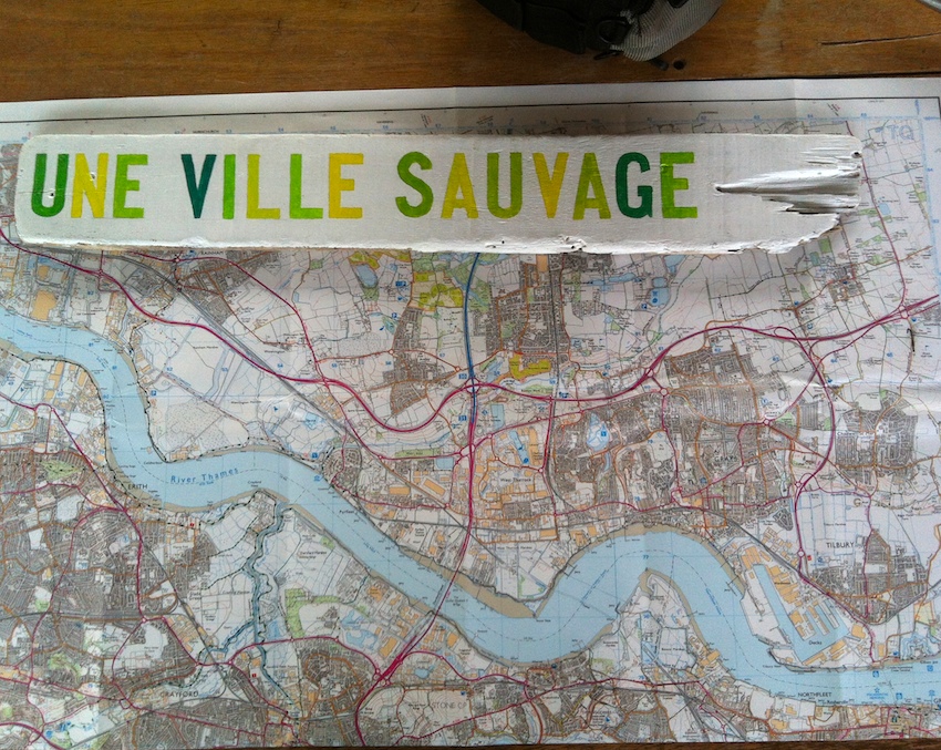 Map.VilleSauvage